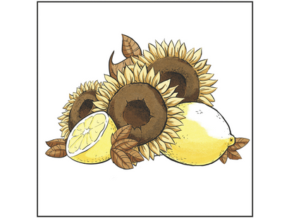 Spectrum Noir-Classique 6pc- Sunny Yellows