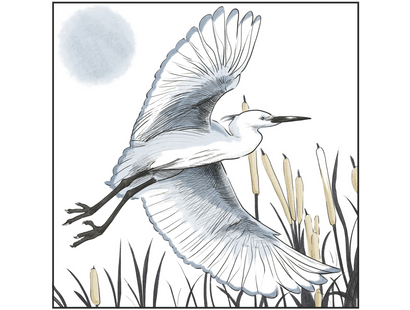 Spectrum Noir-Classique 6pc-Tone & Shade