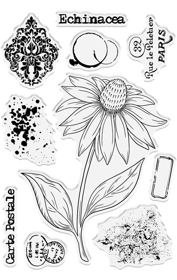 Crafter's Companion Floral Collage Stamp - Exquisite Echinacea