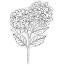 Nature's Garden - Hydrangea - Clear Acrylic Stamps - Hydrangea